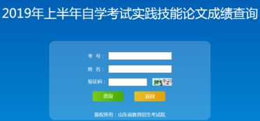山東省2019年上半年自學考試實踐技能與論文成績查詢指南及技術(shù)支持說明